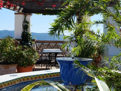 a blue vase sitting on a table with plants at Hotel Los Castaños in Cartajima