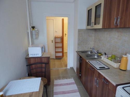 eine Küche mit einer Spüle und einer Arbeitsplatte in der Unterkunft Bega Apartman in Barcs