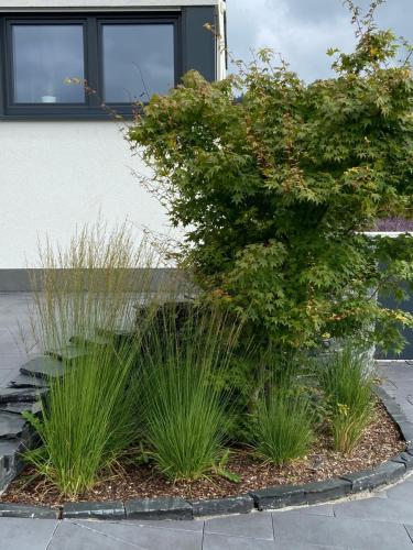 a garden with grass and a tree in front of a building at Ferienwohnung Weinbergblick in Mehring