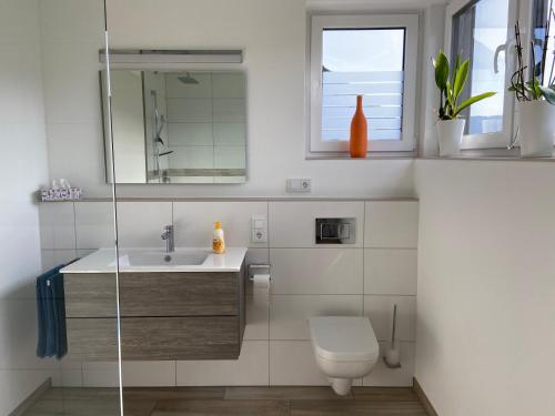 a bathroom with a sink and a toilet and a window at Ferienwohnung Weinbergblick in Mehring