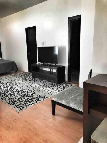 TV a/nebo společenská místnost v ubytování 10- Large suite for 4 people