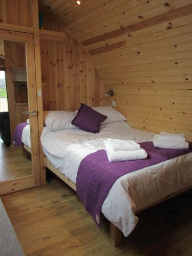 Posteľ alebo postele v izbe v ubytovaní Loch Cromore Holiday Pods