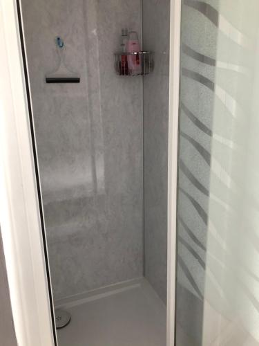 W łazience znajduje się prysznic ze szklanymi drzwiami. w obiekcie Hardwick Flat w mieście Barnstaple