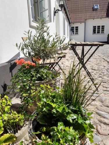 Zahrada ubytování Apartment in Danmark- Agernaesgaard Otterup