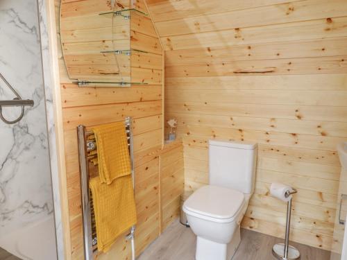 a wooden bathroom with a toilet and a shower at The Rhiw in Newtown