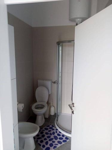 a small bathroom with a toilet and a shower at Apartmani Sol Vlašići in Pag