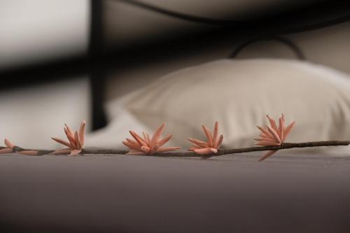 a group of pink flowers on a bed at Città Di Castello Rooms in Città di Castello