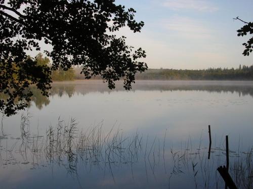a view of a lake with trees in the background at Wismens Natur & Fiske in Krogsered