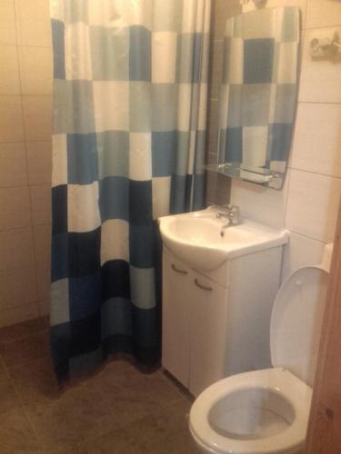 ein Badezimmer mit einem Waschbecken, einem WC und einem Duschvorhang in der Unterkunft Domki Monika in Sarbinowo