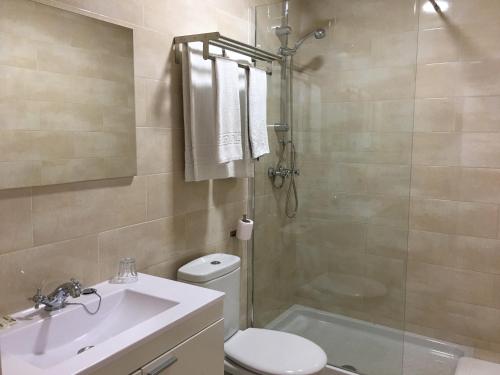 y baño con aseo, lavabo y ducha. en Apartamentos Carmen Teresa, en Torremolinos