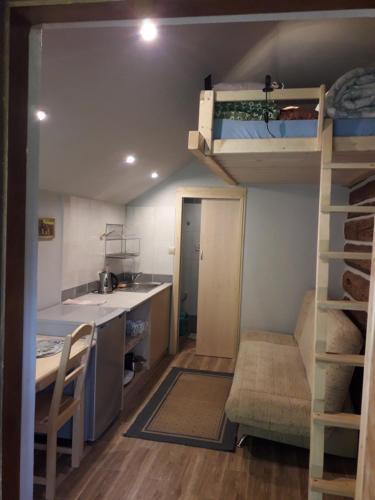 a small room with a kitchen and a bunk bed at Agrohaczow za rzeką Apartament 8-osobowy in Haczów
