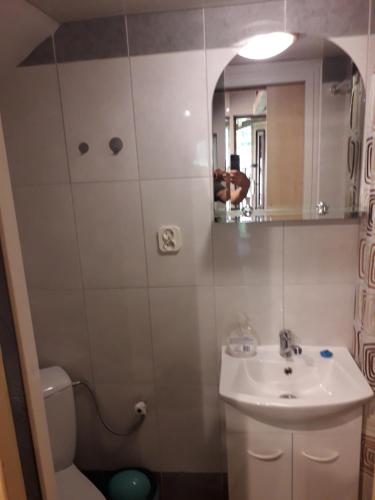 ein Badezimmer mit einem Waschbecken, einem WC und einem Spiegel in der Unterkunft Agrohaczow za rzeką in Haczów