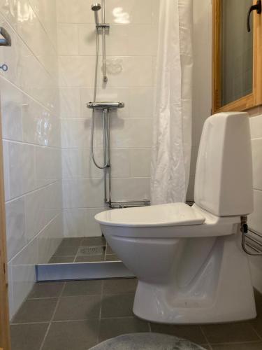 a bathroom with a white toilet and a shower at Asplunda Gård,Kolmården, stuga nr 4 in Kolmården