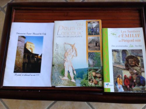 tres libros sentados en un estante en Chambre d'hôtes Lasserre, en Saint-Amand-de-Coly