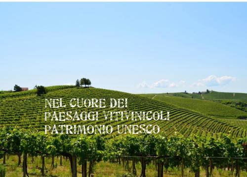 Castelnuovo BelboにあるBed & Tours Dimora di campagnaの坂の看板付きのぶどう畑