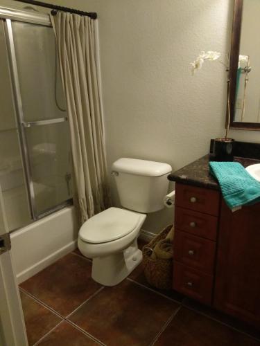a bathroom with a toilet and a shower and a sink at Departamento completo en San Diego & Bonita You can ask for 30 or more days book and save aditional 15 percent in San Diego