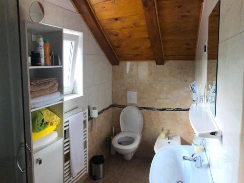 a small bathroom with a toilet and a sink at Holiday Home Kuća GORICA BLANCA in Fužine