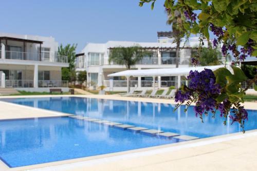 Bazén v ubytování Caesar Beach Villas and Apartments nebo v jeho okolí
