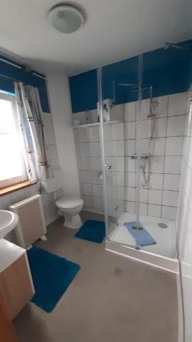 a bathroom with a shower and a toilet with blue mats at Ferienwohnung Beck in Trassenheide