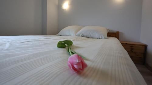 a pink flower sitting on top of a bed at Pablo in Niechorze