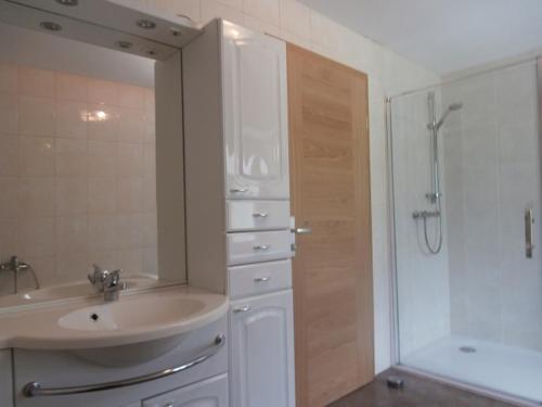 ein Bad mit einem Waschbecken und einer Dusche in der Unterkunft Ferienwohnung Bluemelhube Wohnung Elisabeth in Vordernberg