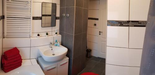 a bathroom with a sink and a mirror at Ferienhaus Alexandra in Böllenborn