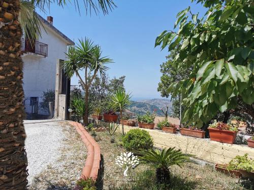 una casa con piante in vaso sul lato di una strada di La Suscella Bed & Breakfast a Torchiara