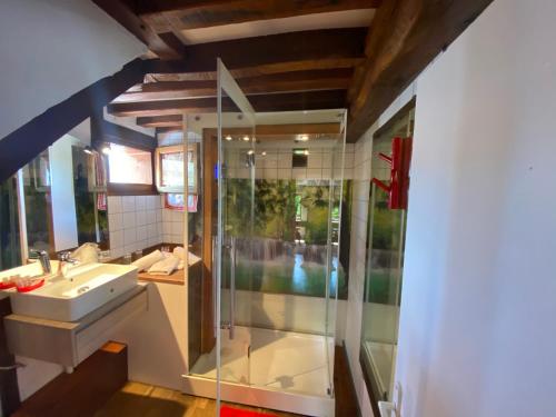 La salle de bains est pourvue d'une douche et d'un lavabo. dans l'établissement Le Relais Du Haras - Deauville, à Touques