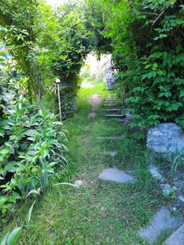 a path through a garden with plants and trees at Alla Curva di Elia Manzoni in Malè