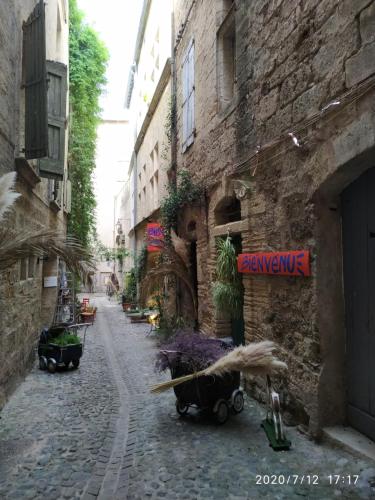an alley in an old stone building with plants at L'instant Canal in Capestang