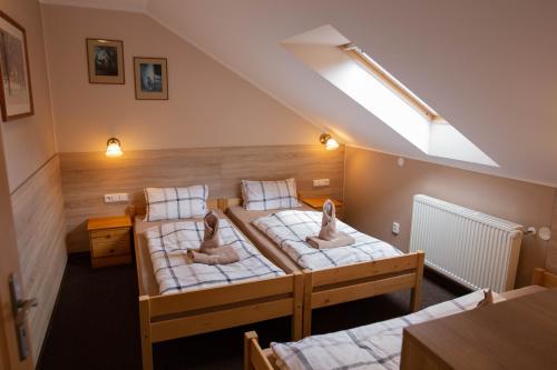 two beds in a room with a skylight at Penzion Štekrův Mlýn in Františkovy Lázně
