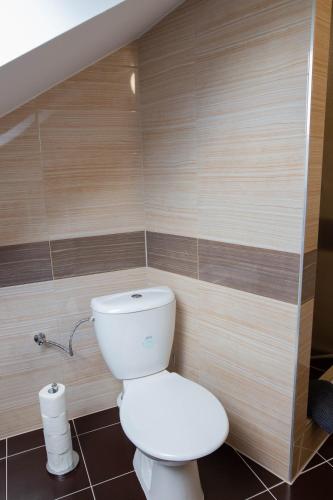 a bathroom with a white toilet in a room at Penzion Štekrův Mlýn in Františkovy Lázně