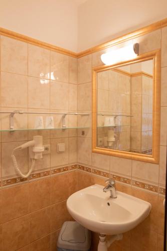 a bathroom with a sink and a toilet and a mirror at Penzion Štekrův Mlýn in Františkovy Lázně