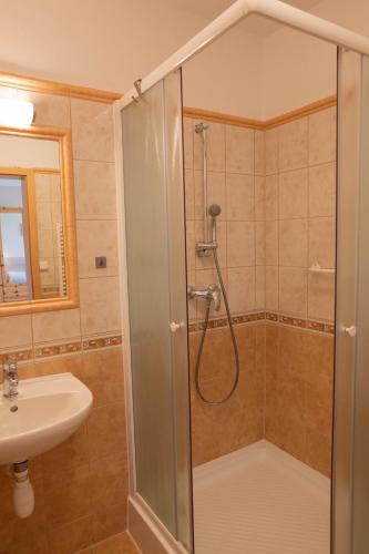 a bathroom with a shower and a sink at Penzion Štekrův Mlýn in Františkovy Lázně