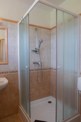 a shower with a glass door in a bathroom at Penzion Štekrův Mlýn in Františkovy Lázně