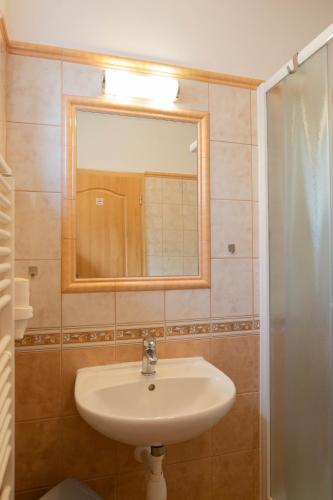 a bathroom with a sink and a mirror at Penzion Štekrův Mlýn in Františkovy Lázně