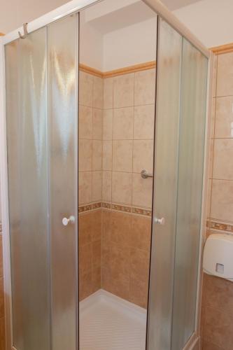 a shower with a glass door in a bathroom at Penzion Štekrův Mlýn in Františkovy Lázně