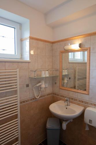 a bathroom with a sink and a toilet and a mirror at Penzion Štekrův Mlýn in Františkovy Lázně