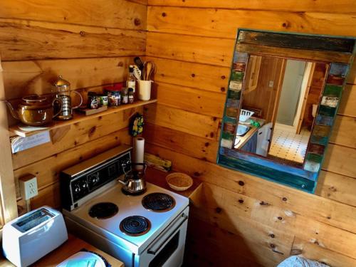 Kuchyň nebo kuchyňský kout v ubytování Vipilodge
