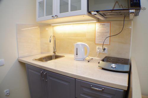a kitchen counter with a sink and a toaster at Willa Michałówka in Zakopane