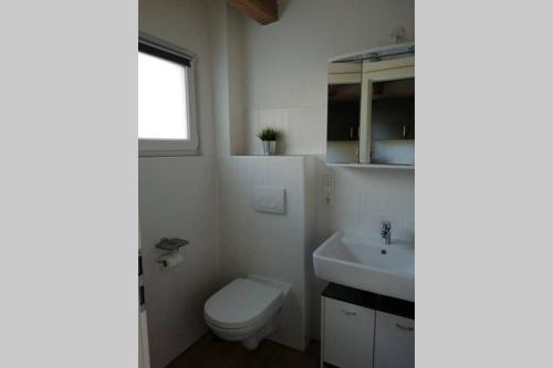 a white bathroom with a toilet and a sink at Mühlehof in Herrischried
