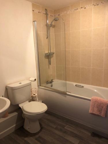 a bathroom with a toilet and a tub and a sink at Llanberis Snowdonia in Llanberis