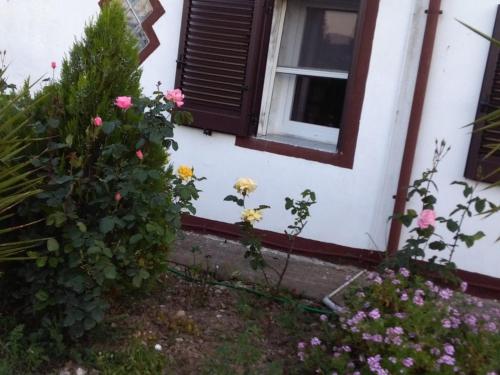 una casa con una finestra e dei fiori davanti di Sole & luna a Perdaxius