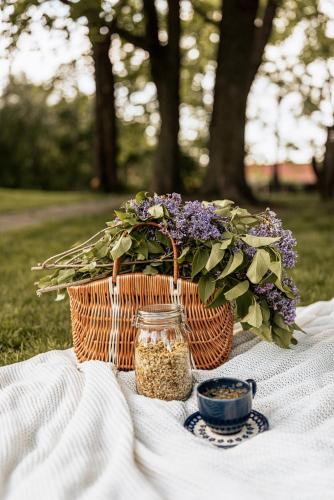 Ein Garten an der Unterkunft Dwór Mościbrody