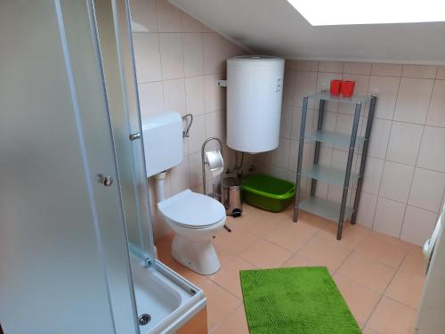 uma pequena casa de banho com um WC e um tapete verde em Apartman Martina em Rab