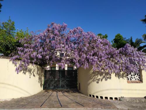 Jardín al aire libre en Tempio