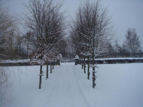 a row of trees covered in snow next to a fence at Hoeve Berghof in Heerlen