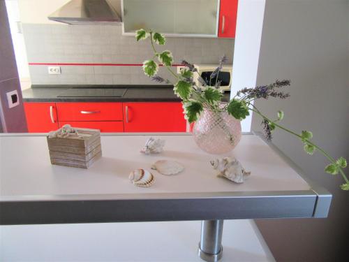 a kitchen counter with a vase with flowers on it at Apartment Andrea in Orebić