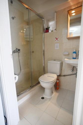 ein Badezimmer mit Dusche, Toilette und Waschbecken in der Unterkunft Efi's Cottage by the sea in Fiskardo