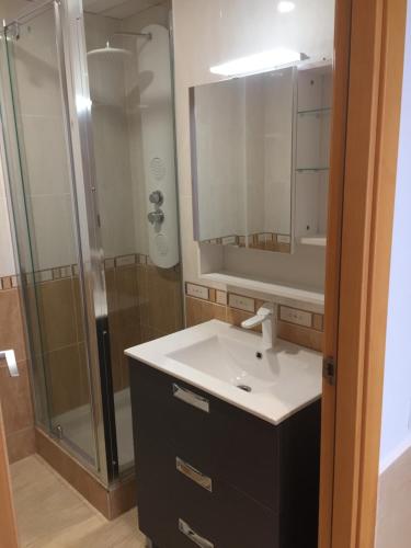 un baño con lavabo y ducha en Piso centrico cerca del puerto, en Sant Carles de la Ràpita